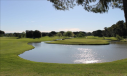 Sheraton_Golf_Green
