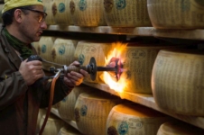 Parmesan_branding