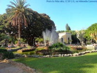Palermo_botanic_garden-1