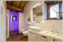 Deluxe_bathroom