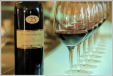 Wine_tasting_in_Arnaldo_Caprai